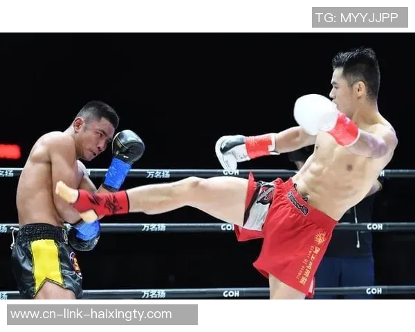 魏锐视频对决分析与精彩瞬间回顾全方位解读战斗策略与技巧